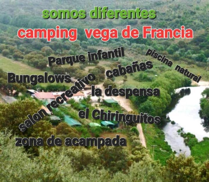 Bungalows, Camping Vega De Francia Sotoserrano Extérieur photo